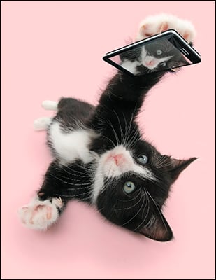 Notion - Selfie Birthday Card