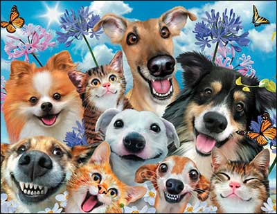 Notion - Smile Birthday Card