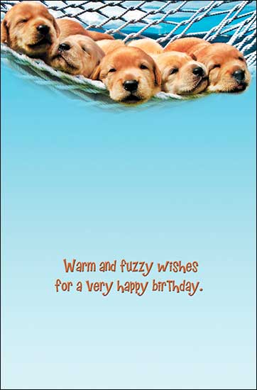 Notion - Warm Fuzzy Birthday Card