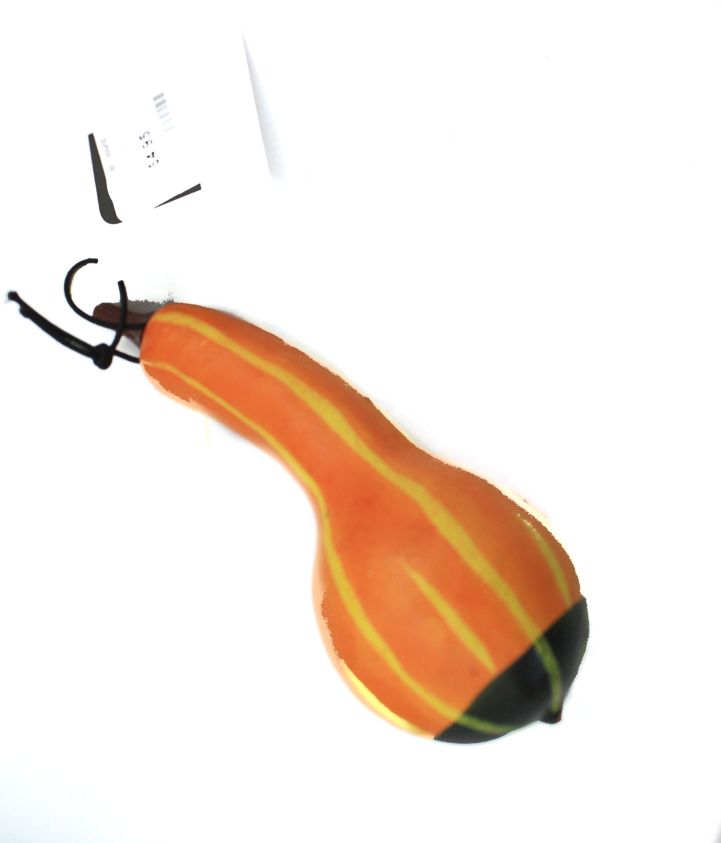 Orange Tall Gourd