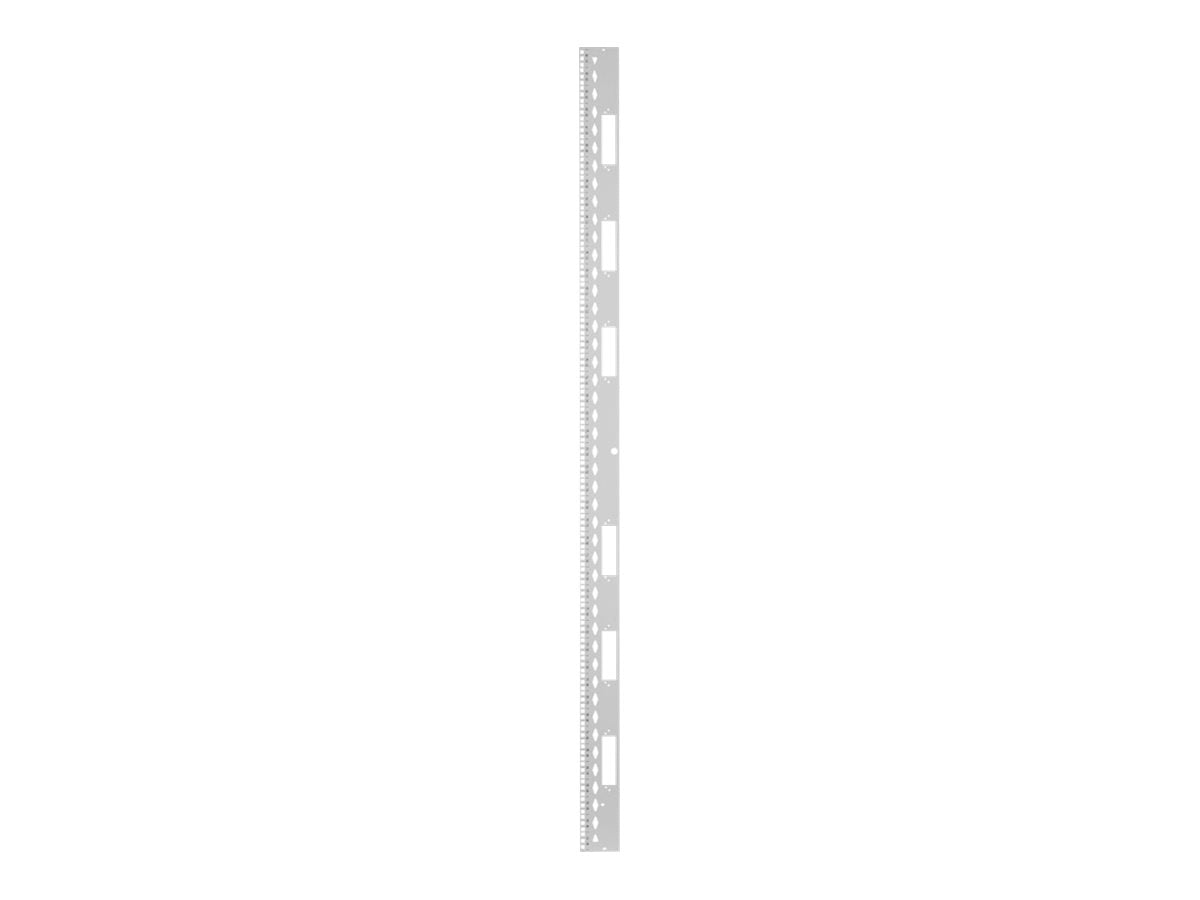 Panduit FlexFusion - Rack rail kit - white - 42U XG-RKS642W