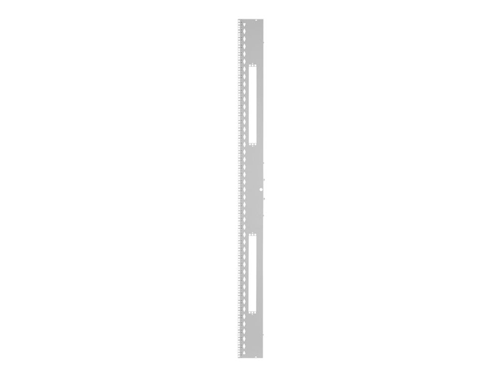Panduit FlexFusion - Rack rail kit - white - 42U XG-RKS842W