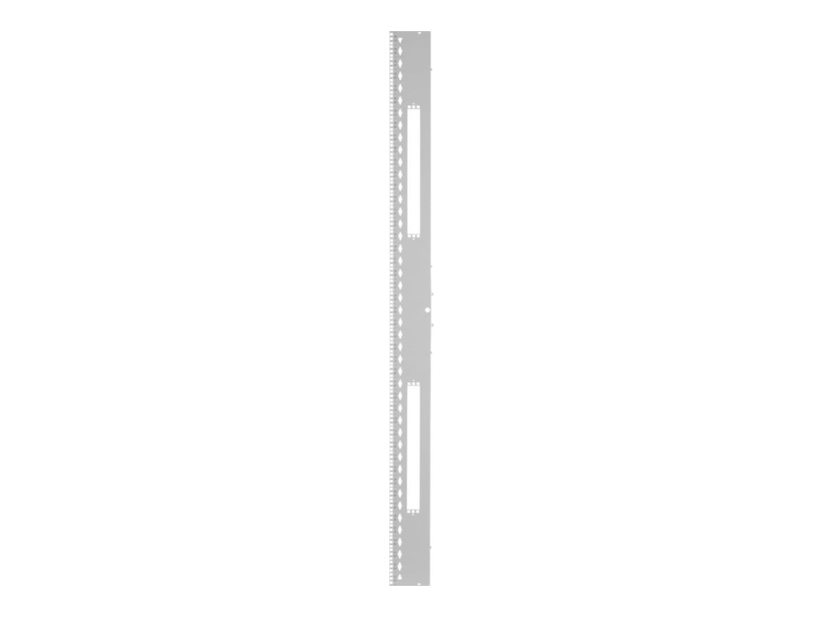 Panduit FlexFusion - Rack rail kit - white - 48U XG-RKS848W