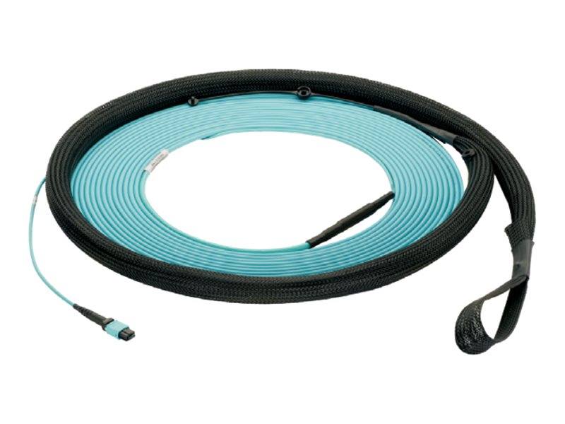 Panduit Opticom QuickNet - Trunk cable - PanMPO single-mode (F) to PanMPO single-mode (F) - 61 m - fiber optic - 9 / 125 micron FY9TP77A005F200