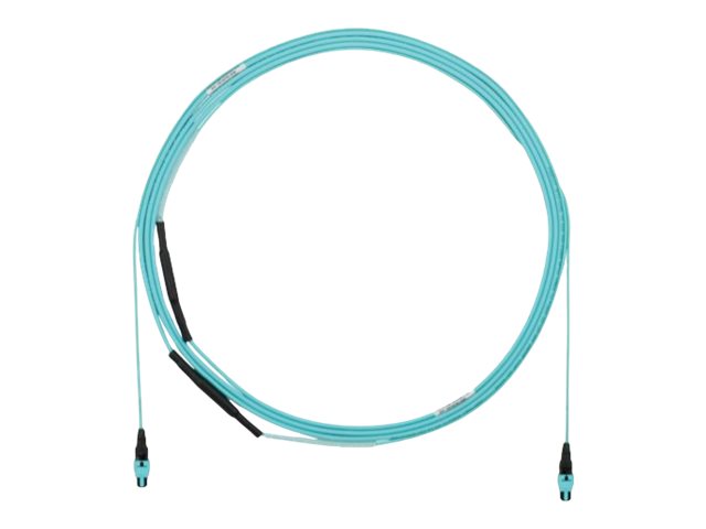 Panduit QuickNet - Trunk cable - PanMPO multi-mode (F) to PanMPO multi-mode (F) - 10.7 m - 0.2 in - fiber optic - 50 / 125 micron FYZTP77Y002F035