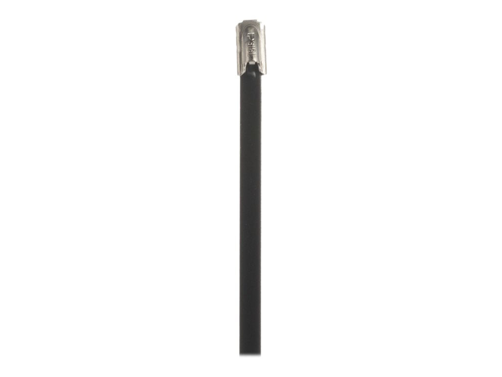 Panduit StrongHold - Cable locking tie - indoor, outdoor - 2.2 ft - black (pack of 100) IMLTFC203S-C6L