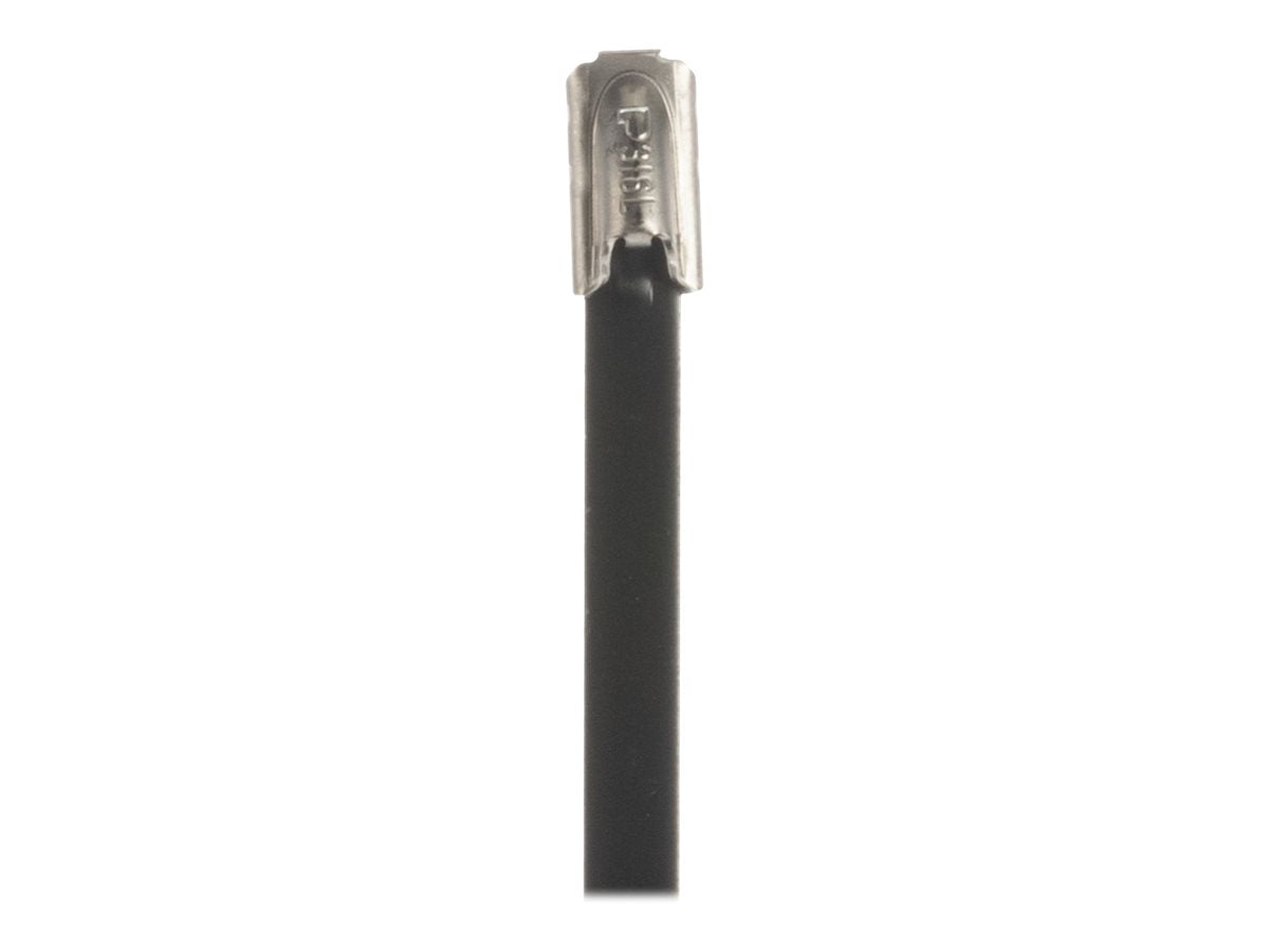 Panduit StrongHold - Cable locking tie - indoor, outdoor - 9.2 in - black (pack of 100) IMLTFC64H-C6L