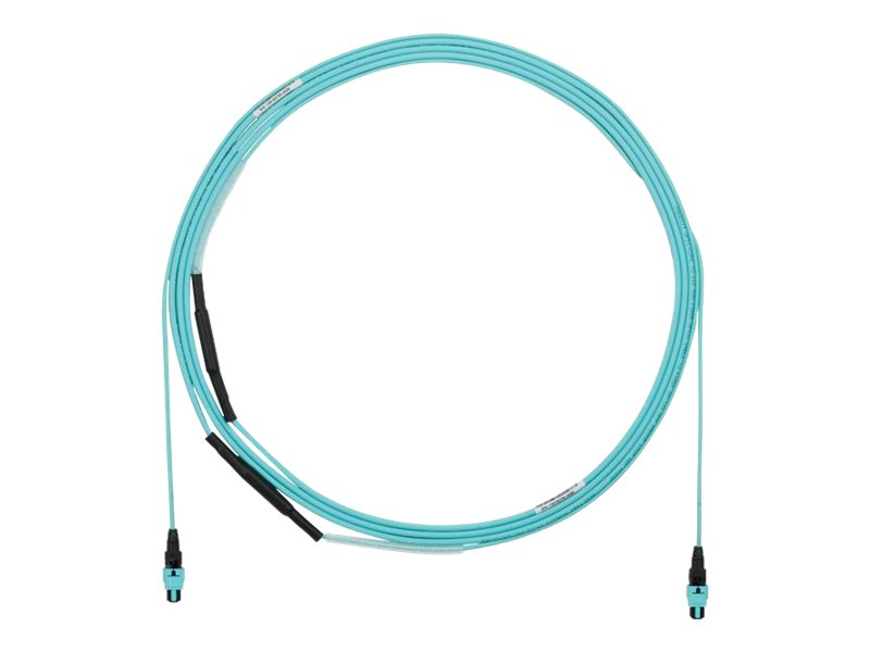 Panduit - Trunk cable - PanMPO multi-mode (F) 1 m breakout, pulling eye to PanMPO multi-mode (F) 1 m breakout - 4.6 m - fiber FYZTP77Y001F030