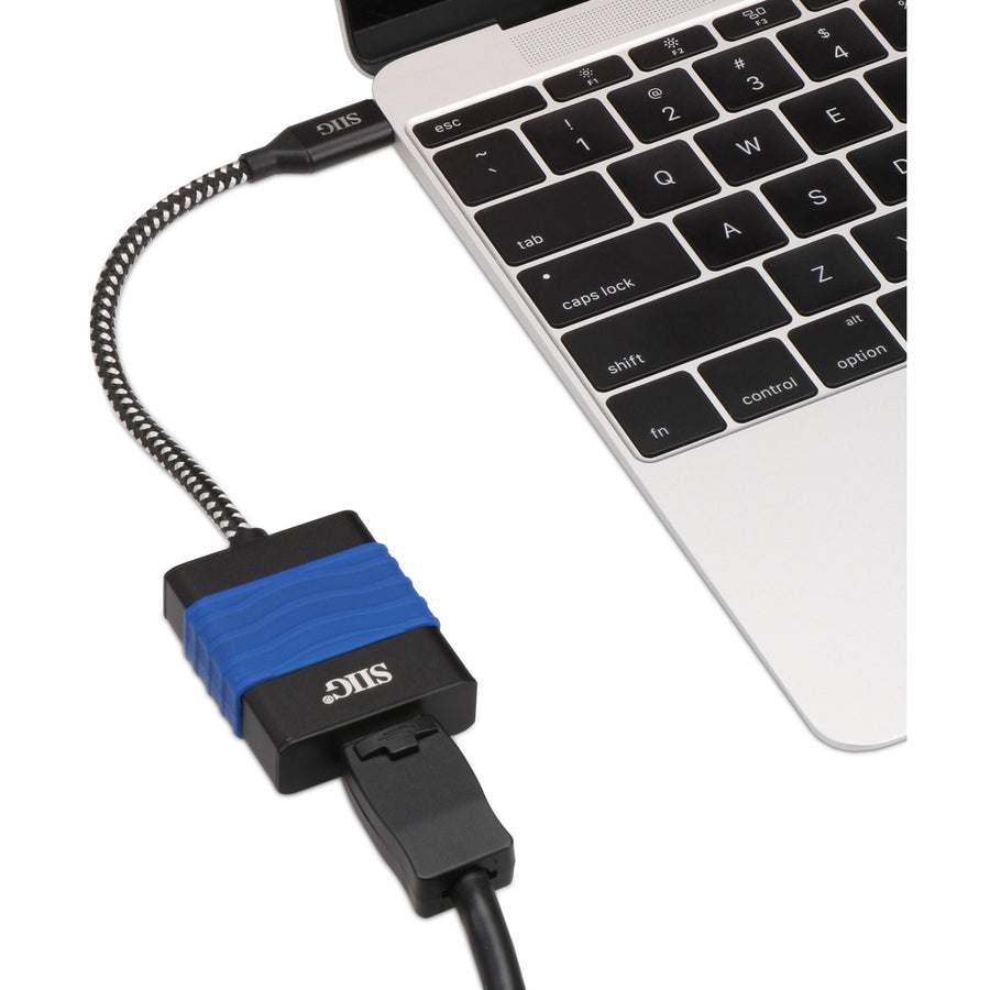 SIIG USB Type-C to DisplayPort Video Cable Adapter CB-TC0214-S1