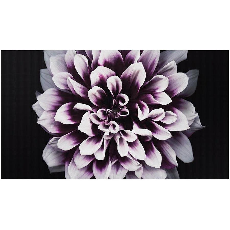 Samsung IW008J Indoor Direct-View LED Cabinet - The Wall MicroLED 0.84mm | TechSoft