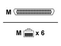 Sangoma Dialogic RJ-14/RJ-21X Data Transfer Cable