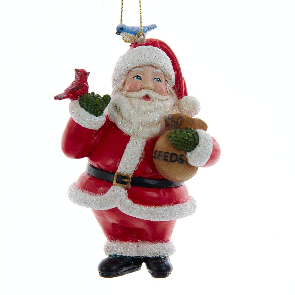 Santa With Birds Ornament
