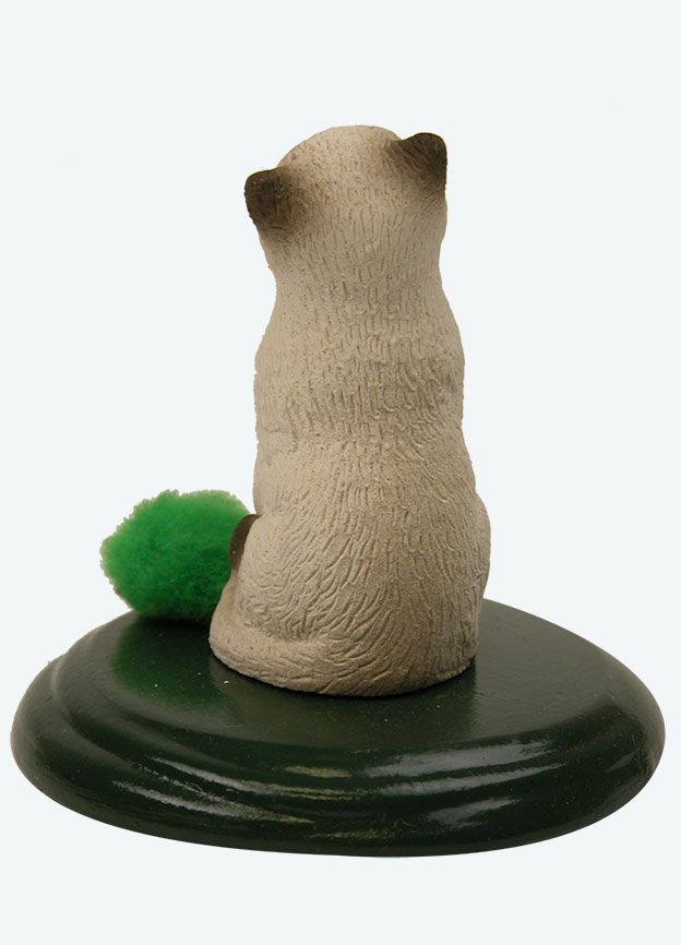 Singing Cat - Sealpoint