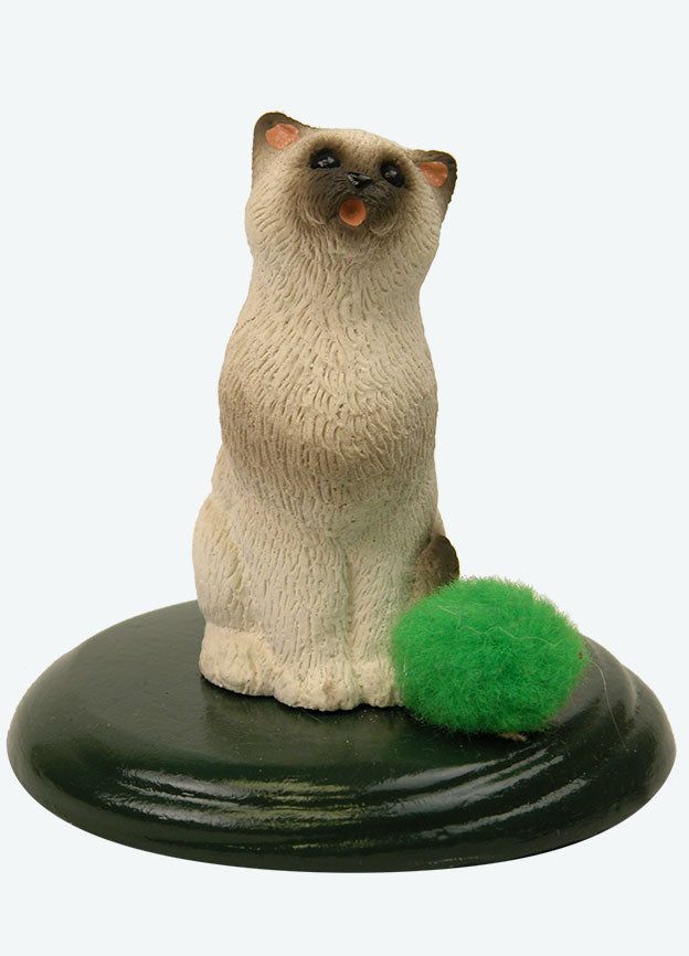 Singing Cat - Sealpoint