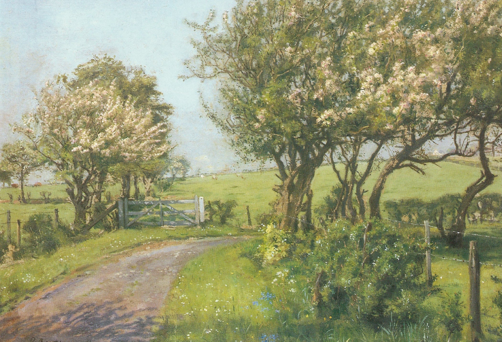 Springtime Blank Greeting Card