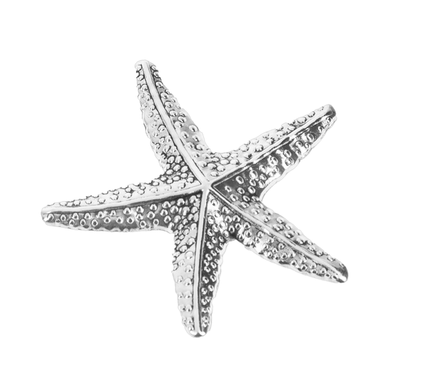 Stars in the Sea Charm