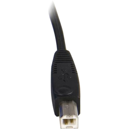 Startech.Com 10 Ft 2-In-1 Universal Usb Kvm Cable - Video / Usb Cable - Hd-15, 4 Pin Usb Type B (M) - 4 Pin Usb Type A, Hd-15 - 10