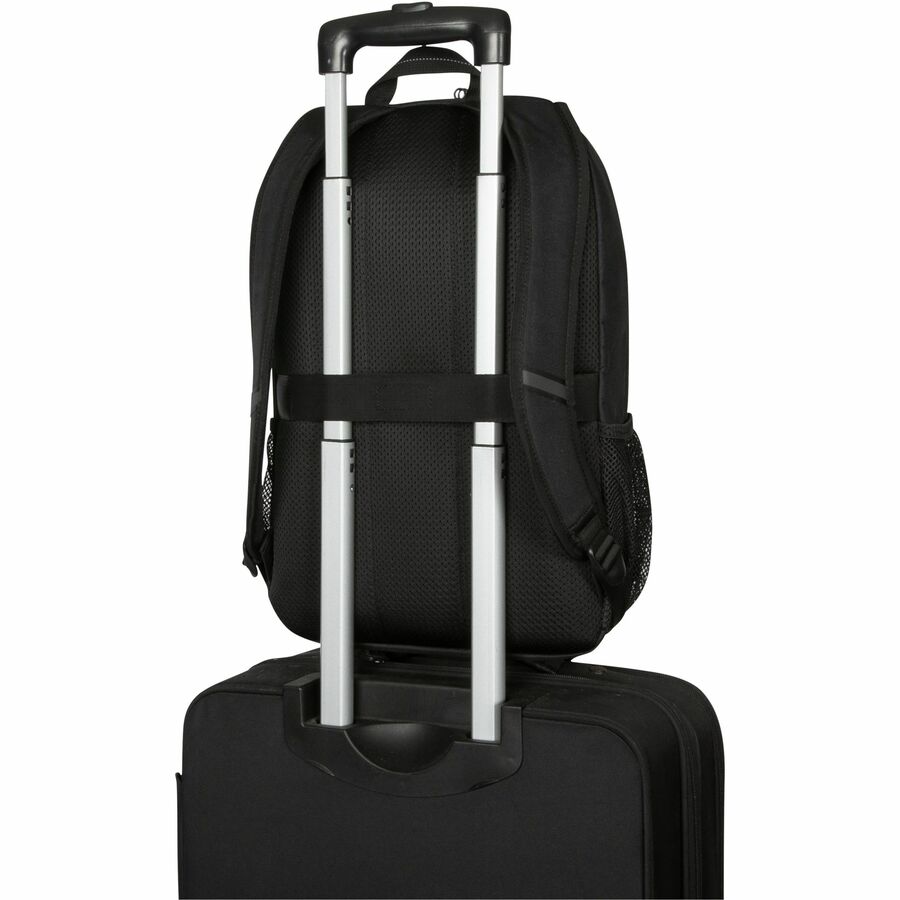 Targus Classic Carrying Case (Backpack) for 15.6" to 16" Notebook