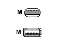 Total Micro - Lightning cable - Lightning male to USB male - 3.3 ft MXLY2AM/A1M-TM