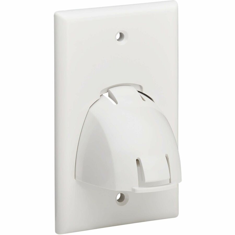 Tripp Lite Single-Gang Up-or Down-Angle Bulk Cable Wall Plate, White, TAA - 1 x Total