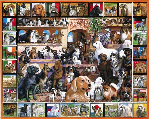 World Of Dogs - 1000 Piece Jigsaw Puzzle