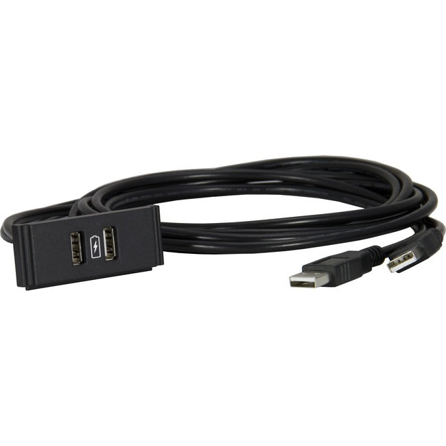 AMX Dual USB Power Module with Printed Charging Symbol FG553-13