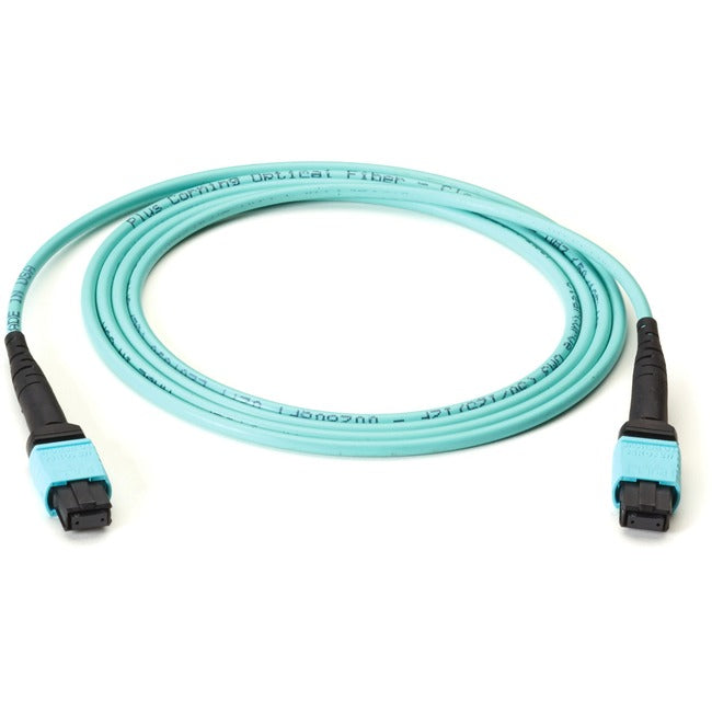 Black Box Fiber Optic Network Cable FOTC10M3-MP-24AQ-10