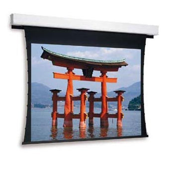 Da-Lite Tensioned Advantage Deluxe Electrol Projection Screen 4.17 M (164") 16:10
