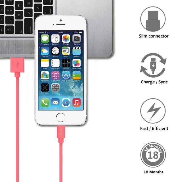 Foxsun Am001003 Iphone Charging Cable 3.3 Ft/1M Lightning Cable For Iphone 7/7Plus/6/6Plus/6S/6S Plus/5/5S/5C/Se, Ipad Pro/Air/Mini (Red)