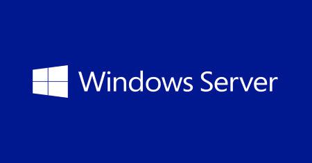 Microsoft Windows Server Datacenter Edition Open License 2 License(S)
