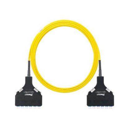 Panduit F9Tslxnxnsnm010 Fibre Optic Cable 10 M 12X Lc Os1/Os2 Yellow