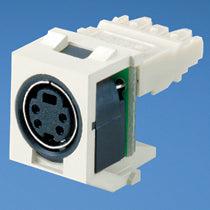 Panduit Nkspmiw Keystone Module