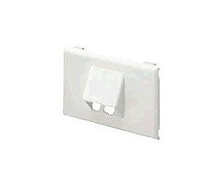 Panduit T70Fh2Iw Wall Plate/Switch Cover White