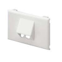 Panduit T70Fh2Wh Wall Plate/Switch Cover White