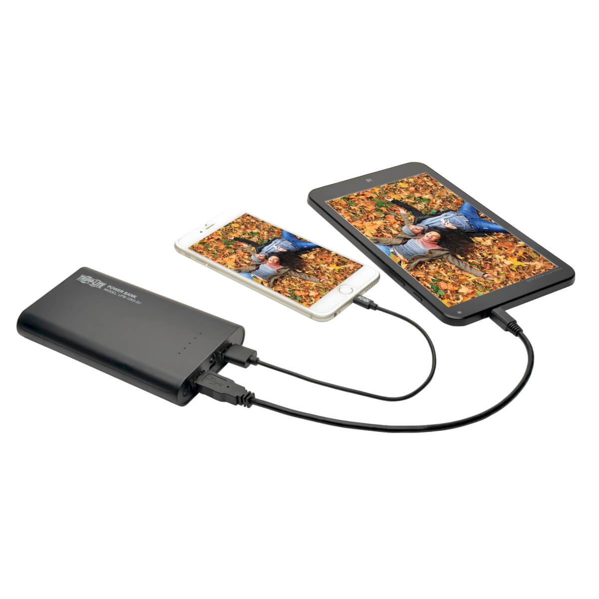 Tripp Lite Portable 12,000Mah Dual-Port Mobile Power Bank Usb Battery Charger With Led Flashlight