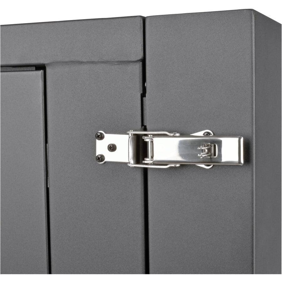 Tripp Lite Srw12Usdpg Smartrack 12U Ups-Depth Wall-Mount Small Rack Enclosure, Clear Acrylic Window, Hinged Back