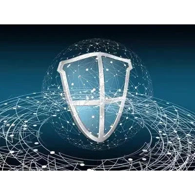 Secure Digital Acceleration: Balancing Innovation and Safety