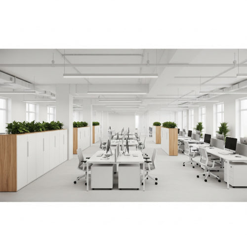 Beyond the Cubicle: How to Design an Office Layout That Maximizes Space and Productivity