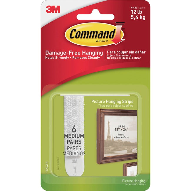 17204Es Medium Picture Hang Str, 6 Pairs