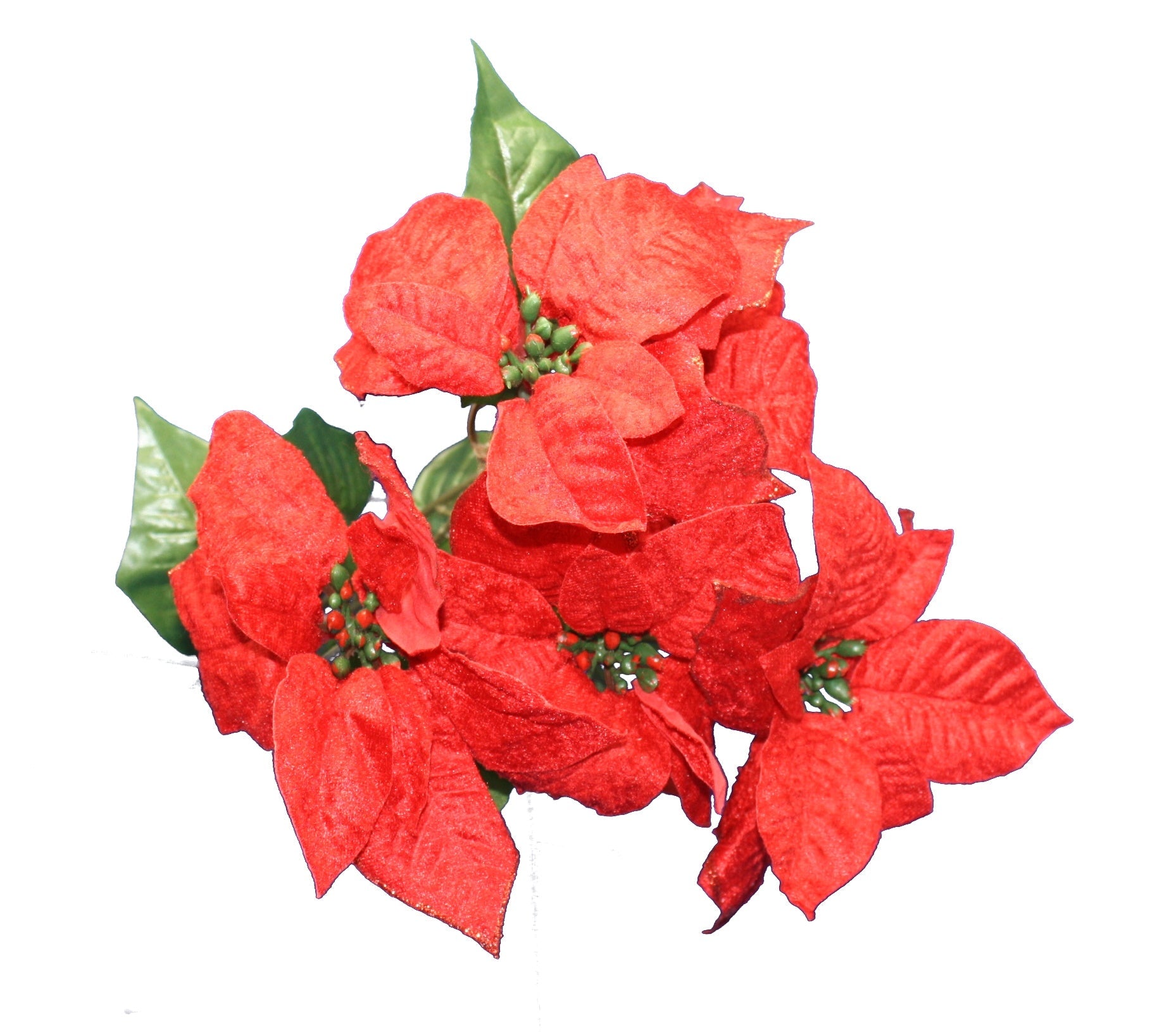 18" Glitter Edge Poinsettia Bush