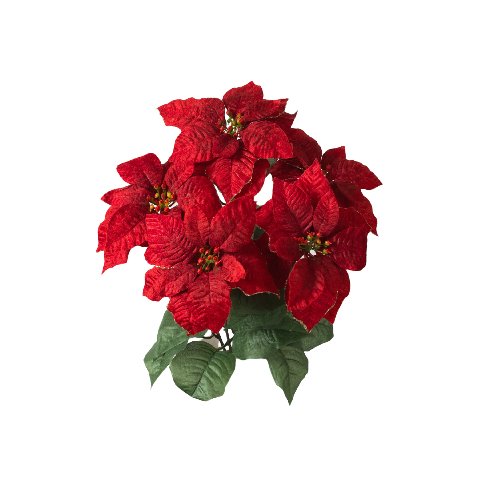 18" Glitter Edge Poinsettia Bush