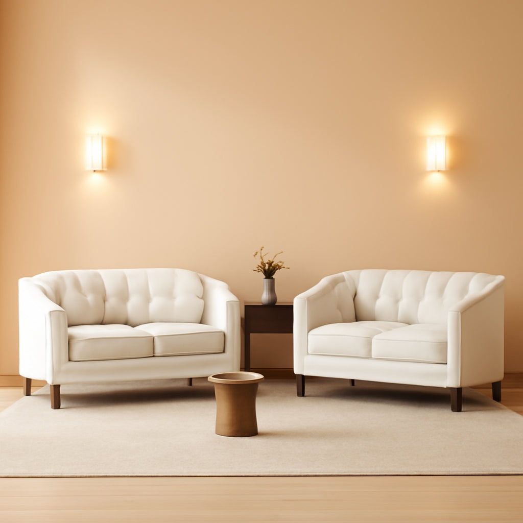 2 Piece Modern Living Room Set