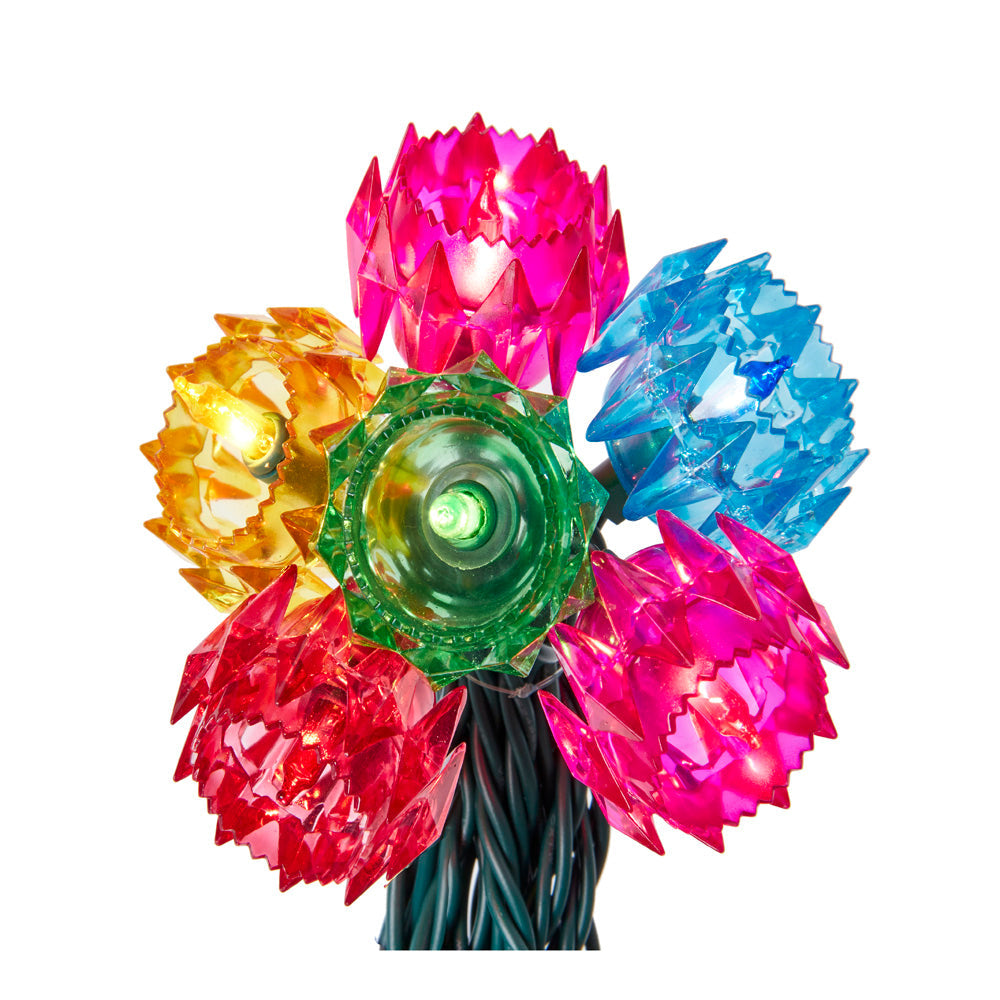 20-Light Crown Light Set