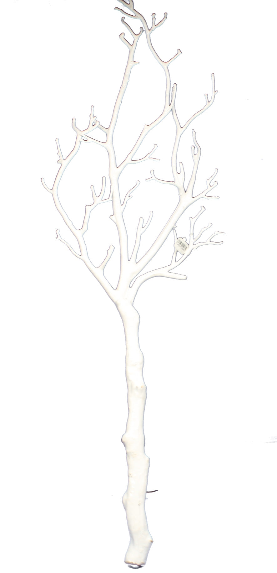 26 inch White Leafless Branch