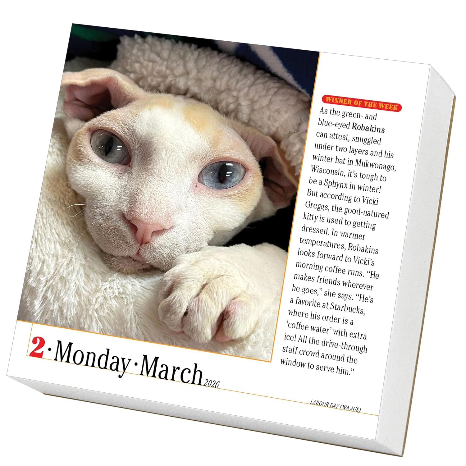 365 Cats Page-A-Day Calendar 2026: The World's Favorite Cat Calendar