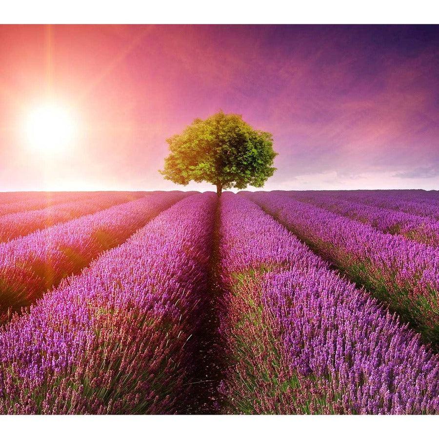 4K UHD Monitor Pantone Validated - ViewSonic VP2768A-4K ColorPro | TecISoft