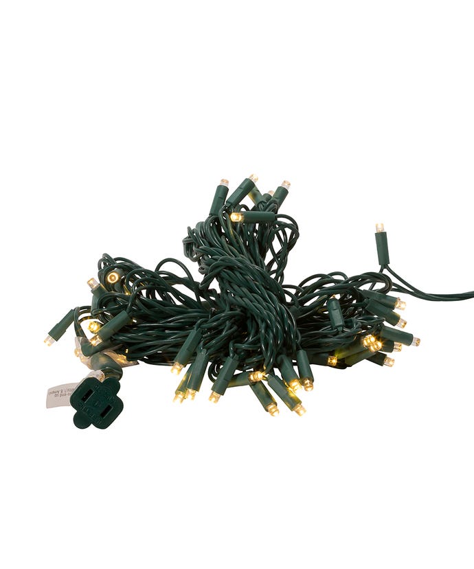 50-Light 5mm Cool White LED Green Wire Light Set