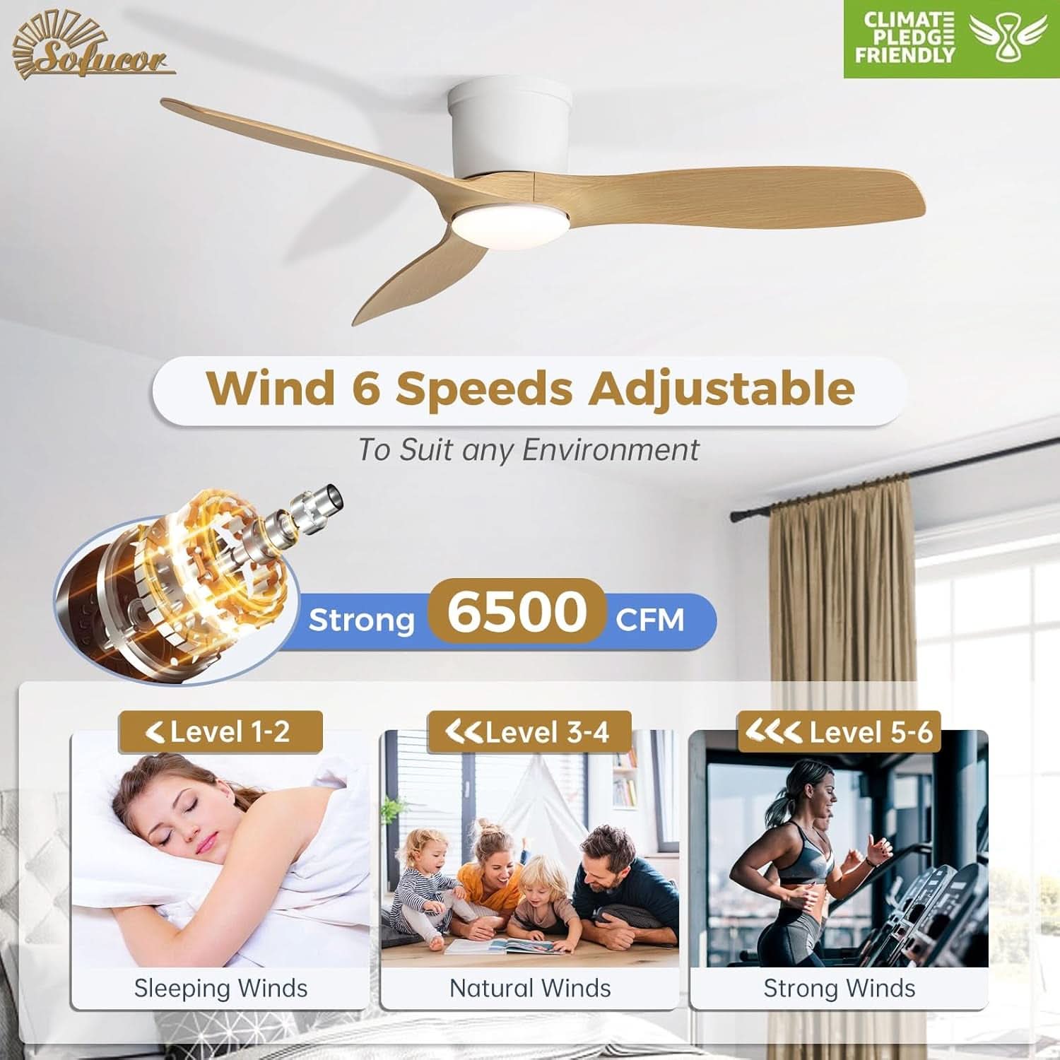 52 Inch Smart Ceiling Fan With Lights Remote App Control