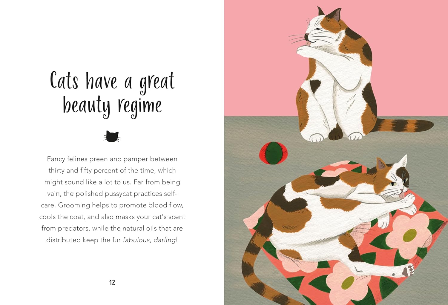 59 Things You Should Know About Your Cat (HC)