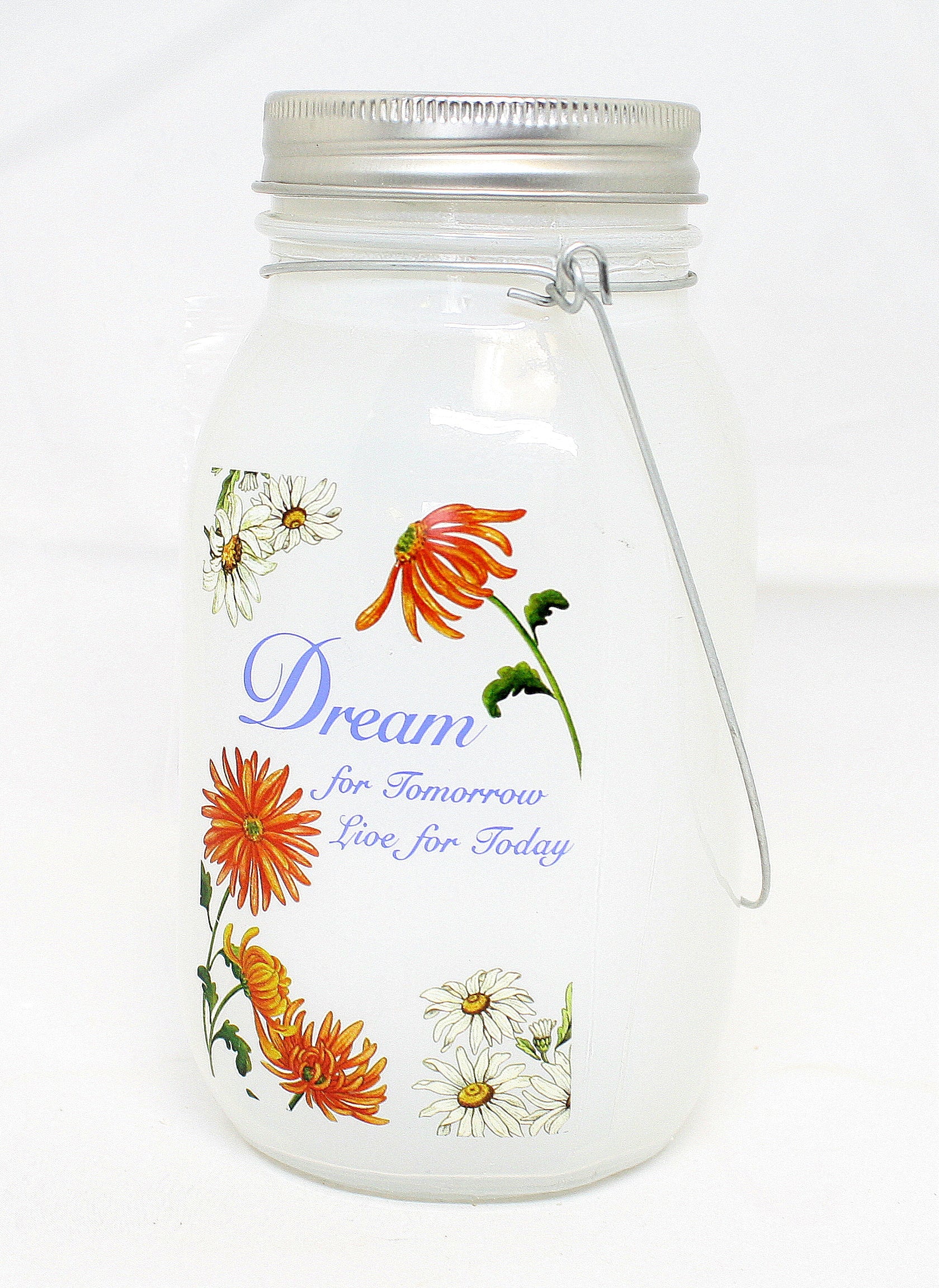 7 Inch Lighted Frosted Glass Jar -